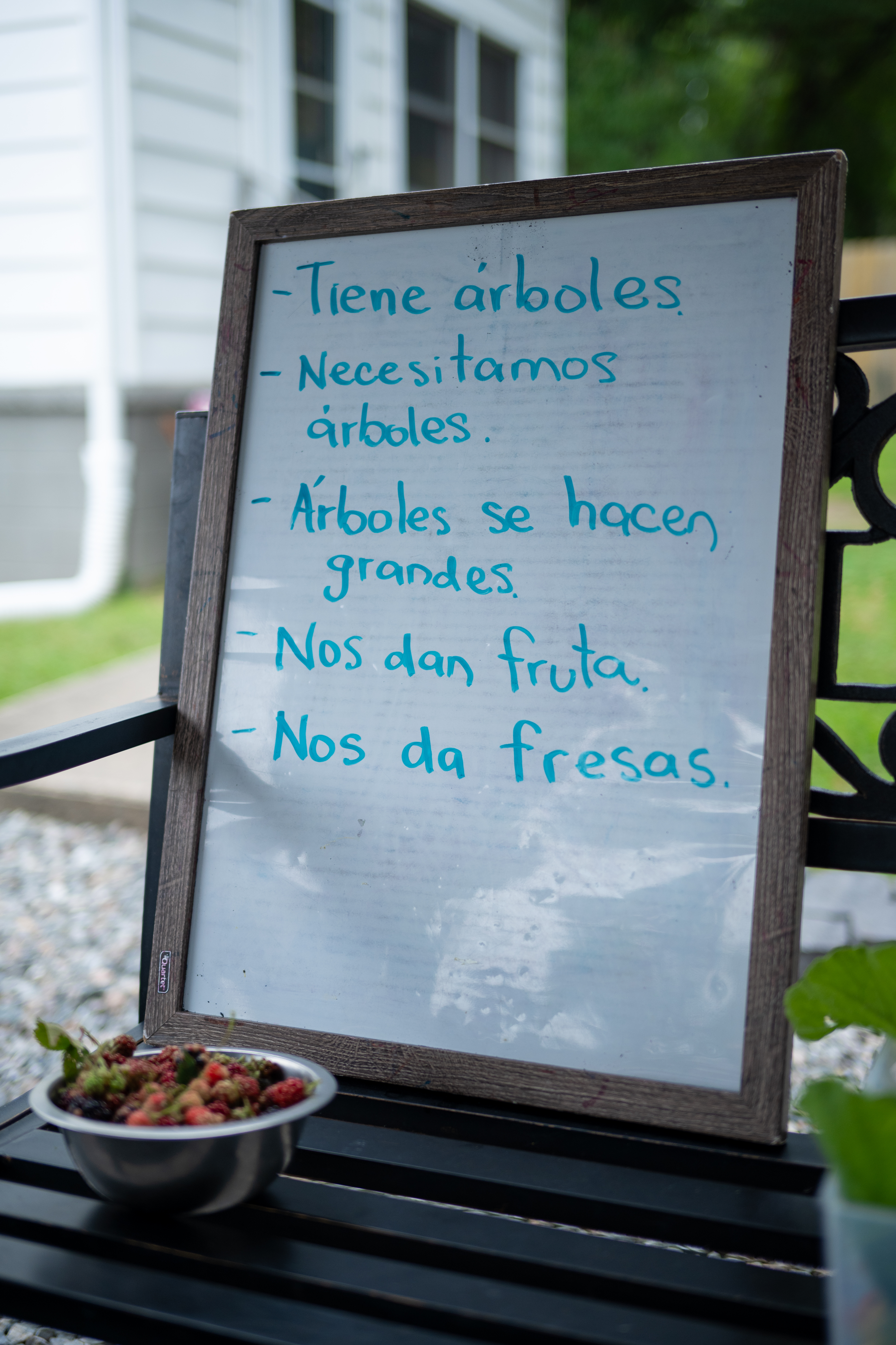 list of why we love trees